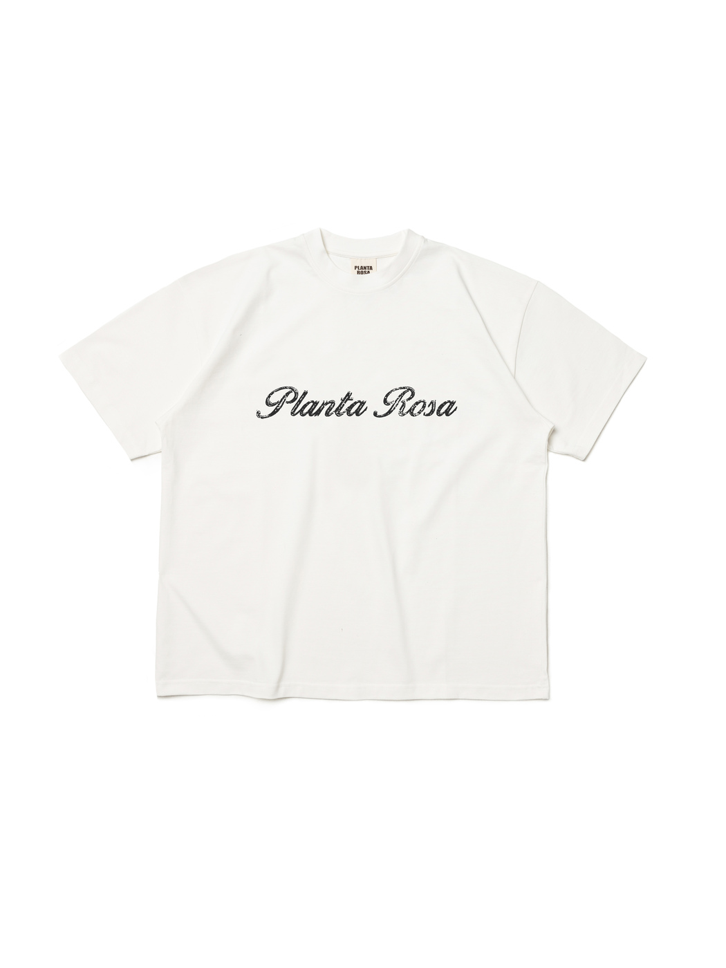 SCRAPED-SPELLING T-SHIRT 220-VANILLA VELVET