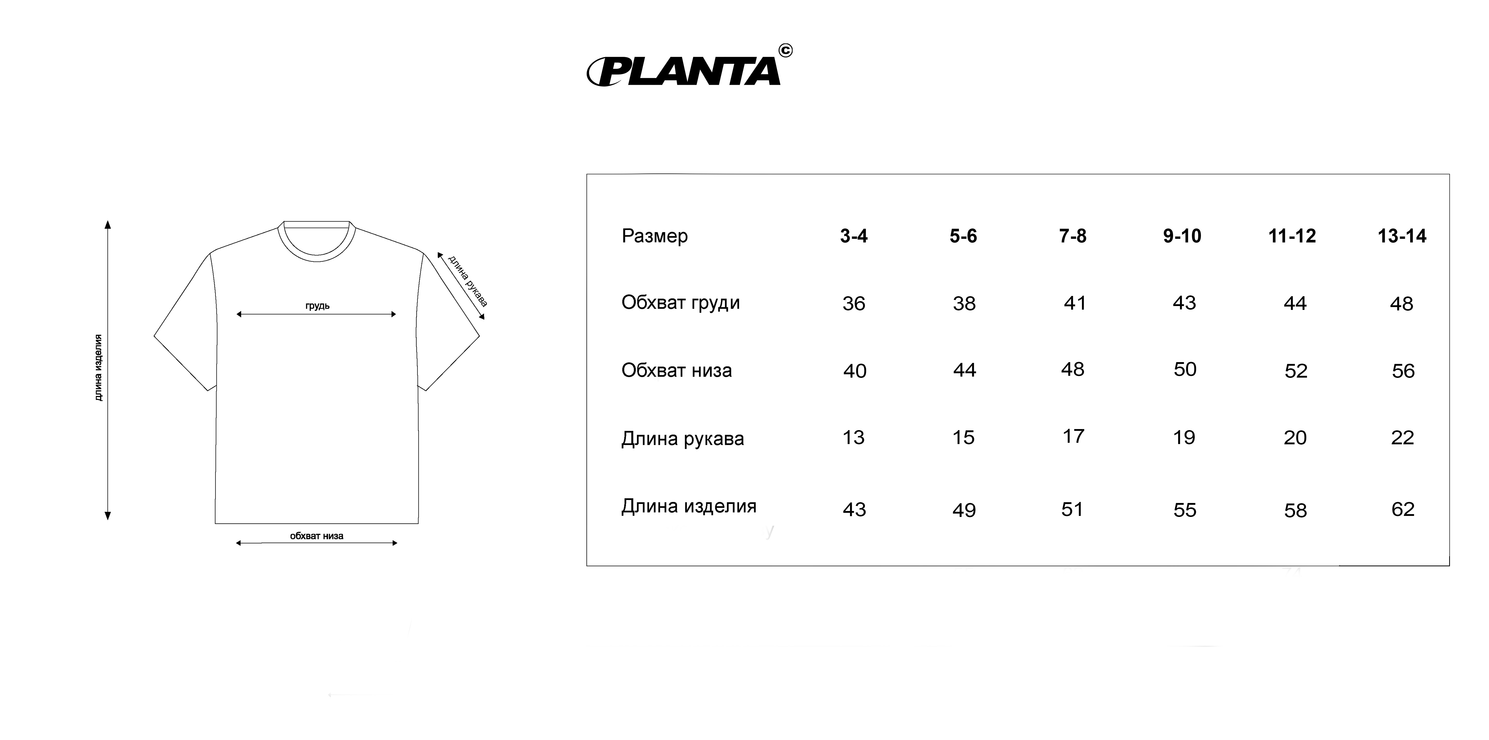 Размерная сетка