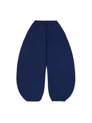 JOGGERS 400 -NAVYPEONY VELVET