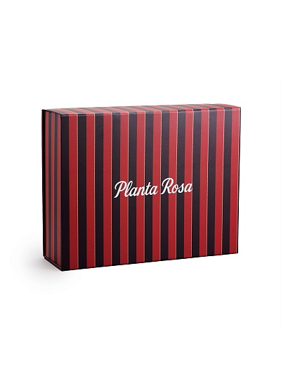 GIFT BOX